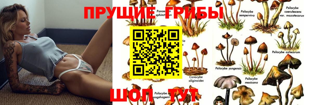 Галлюциногенные грибы прущие грибы  Вход с VPN  Егорьевск  Псилоцибиновые грибы Psilocybine cubensis 